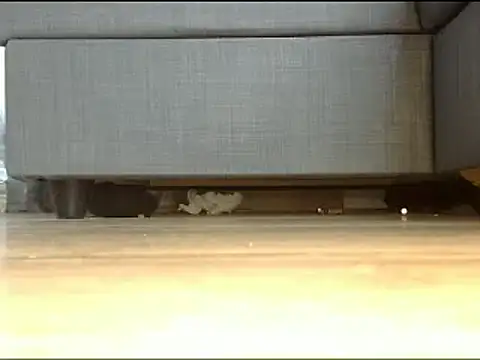 Squirtlady38 online show from 02.13.25