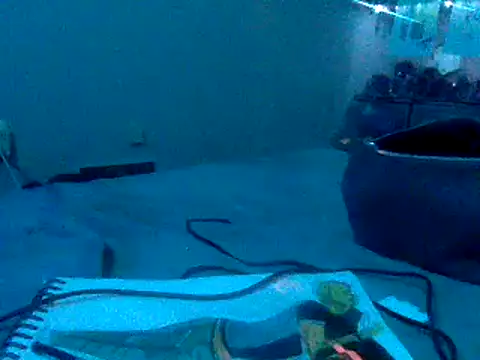 Fr4nk1eFFuxxx online show from 01.03.25