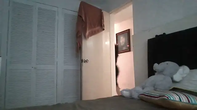 panquesitorico online show from 04.13.26