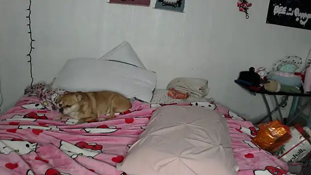 Snapshot of Cupcakecutie449 chatting on 02.28.26 Cupcakecutie449 online show from 02.28.26