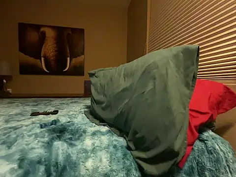 Snapshot of Bwcjoshbanks chatting on 01.31.25 Bwcjoshbanks online show from 01.31.25