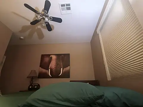 Snapshot of Bwcjoshbanks chatting on 11.23.25 Bwcjoshbanks online show from 11.23.25