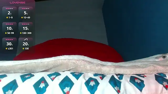 wendy rivera  online show from 12.15.25