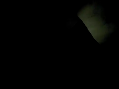 j hollywood91 online show from 12.02.25