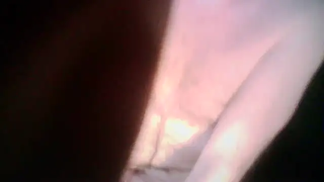 Iseeyou2023 online show from 01.18.26