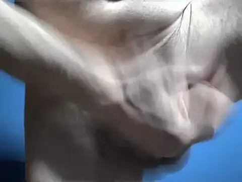 Pol8822 online show from 03.04.26