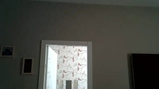 Snapshot of ZarinaSwift chatting on 06.17.26 ZarinaSwift online show from 06.17.26