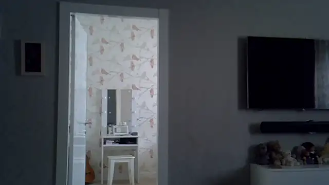 Snapshot of ZarinaSwift chatting on 07.04.26 ZarinaSwift online show from 07.04.26