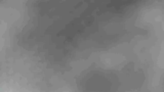 sclax38 online show from 01.02.25