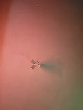 Ricorryxh online show from 09.09.25