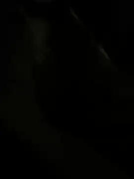 RoodoggXL online show from 03.22.25