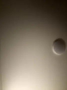 Dreamer553 online show from 12.04.25