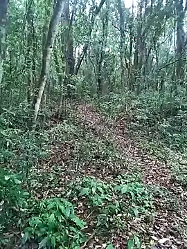 OFICINA Simas-Turbo online show from 09.20.25