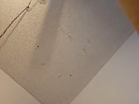 Snapshot of anyway2cum chatting on 01.19.25 anyway2cum online show from 01.19.25