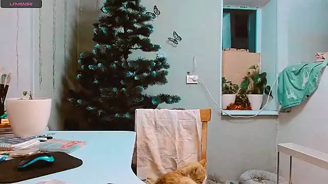 Snapshot of RosaJil chatting on 12.17.24 RosaJil online show from 12.17.24