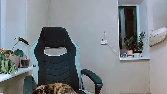 RosaJil online show from 11.01.25