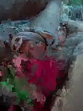 Followthepiper online show from 02.27.26