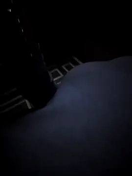 Southern Bella online show from 11.20.25