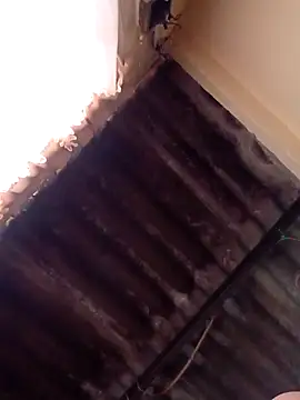 Snapshot of dantero chatting on 01.13.25 dantero online show from 01.13.25