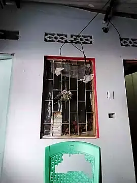 wili 203 online show from 01.02.25