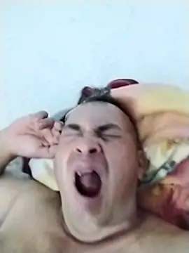 wili 203 online show from 01.08.25