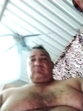 wili 203 online show from 11.08.25