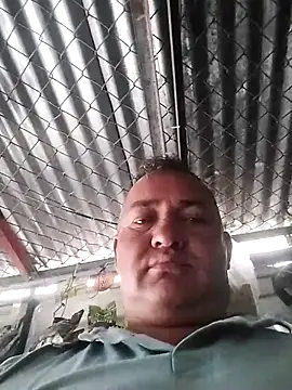 wili 203 online show from 11.10.25