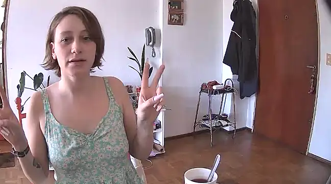 stupid babybird online show from 12.28.24