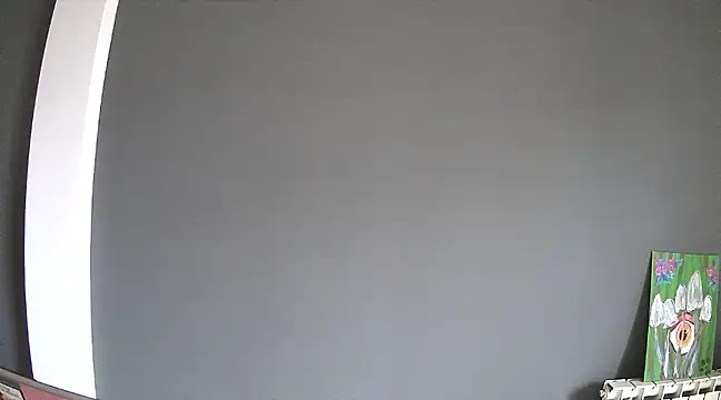 stupid babybird online show from 01.30.25