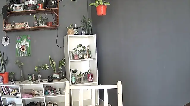 stupid babybird online show from 03.05.25