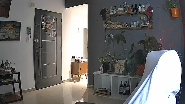 stupid babybird online show from 04.05.26