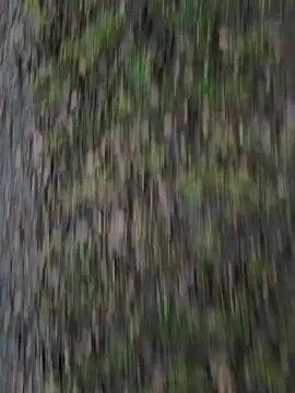 Przystojniak77 online show from 12.20.25