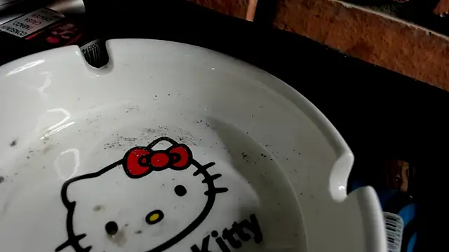 Nikole66  online show from 10.31.25