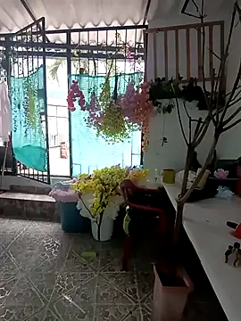 dakota johnson10 online show from 12.03.25