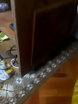 babyboy74 online show from 10.10.25