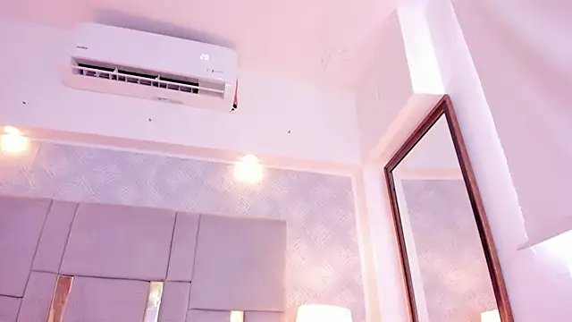 Camilaa Sanchez  online show from 12.29.24