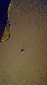 gala2 online show from 02.13.25