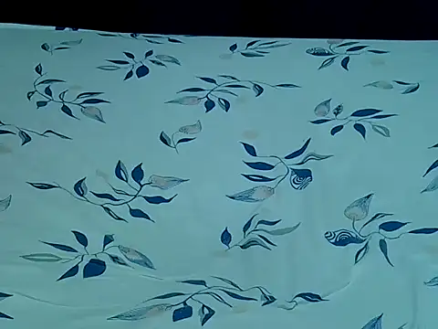 HoneyBun143 online show from 04.11.26