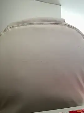 pamell col online show from 11.02.25