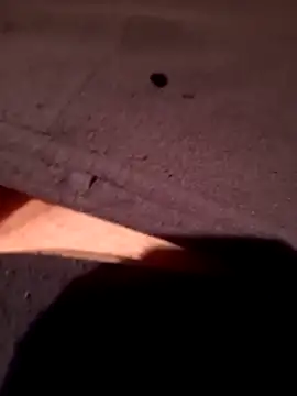 Mattias38 online show from 11.19.25