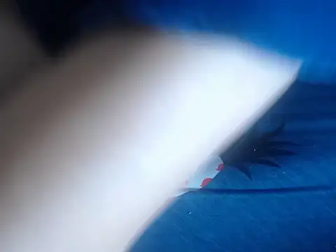 69loveme09 online show from 02.04.25