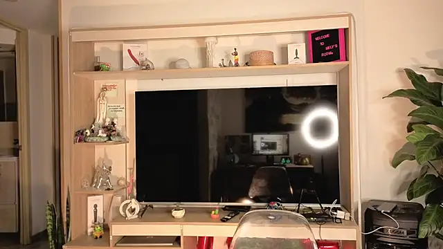 Michelle se online show from 04.10.26