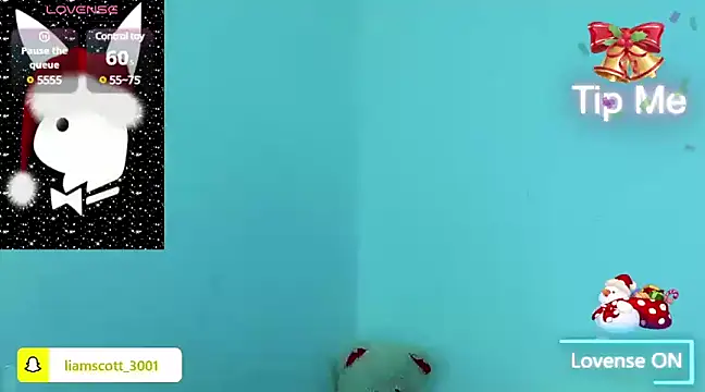 Snapshot of Liamscott_ chatting on 12.22.24 Liamscott online show from 12.22.24
