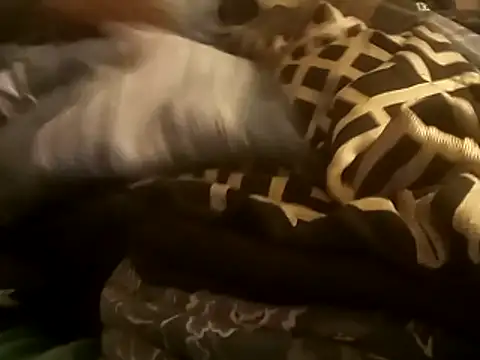 Blkstylion online show from 12.14.25