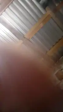 Moreno1813 online show from 11.05.25