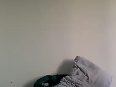 molozeb online show from 11.11.25