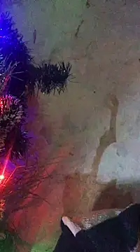 ChantalXOrchid online show from 01.15.25