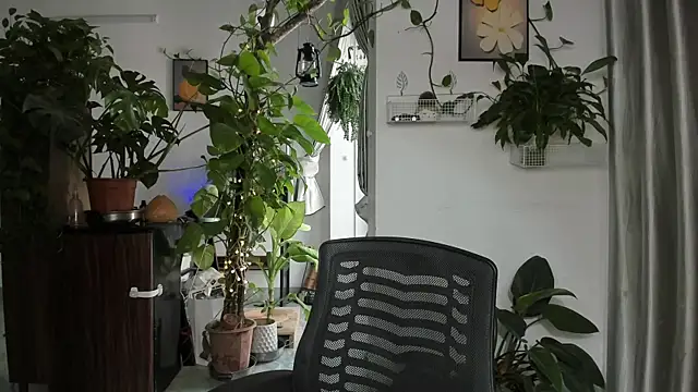 Oliver Nl online show from 12.14.25