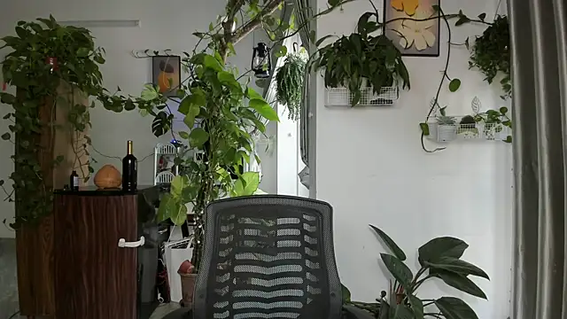 Oliver Nl online show from 01.07.26