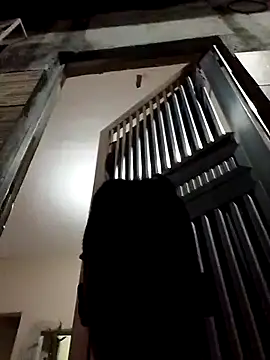 fieltoprj1 online show from 12.13.24